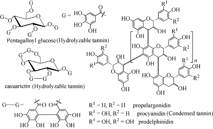 植物单宁也被称作植物多酚,是植物体内重要的次生代谢产物