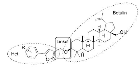 白桦脂醇( 9,betulin)又名桦木醇,是另一天然的五环三萜类化合物,它