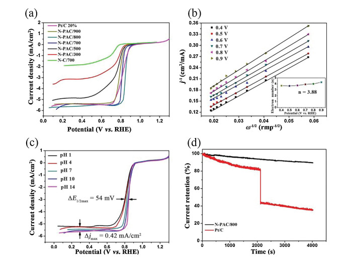 Biomass Derived Nitrogen Self Doped Porous Activation Carbon As An Effective Bifunctional Electrocatalysts