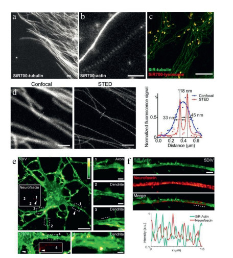 Two-color nanoscopy of organelles for extended times with HIDE probes