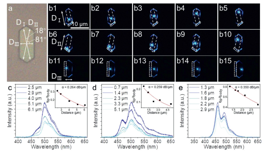 Rational Self Assembly Of Polygonal Organic Microcrystals For Shape Dependent Multi Directional 9795