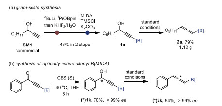 Synthesis Of Allenyl-B(MIDA) Via Hydrazination/fragmentation Reaction ...