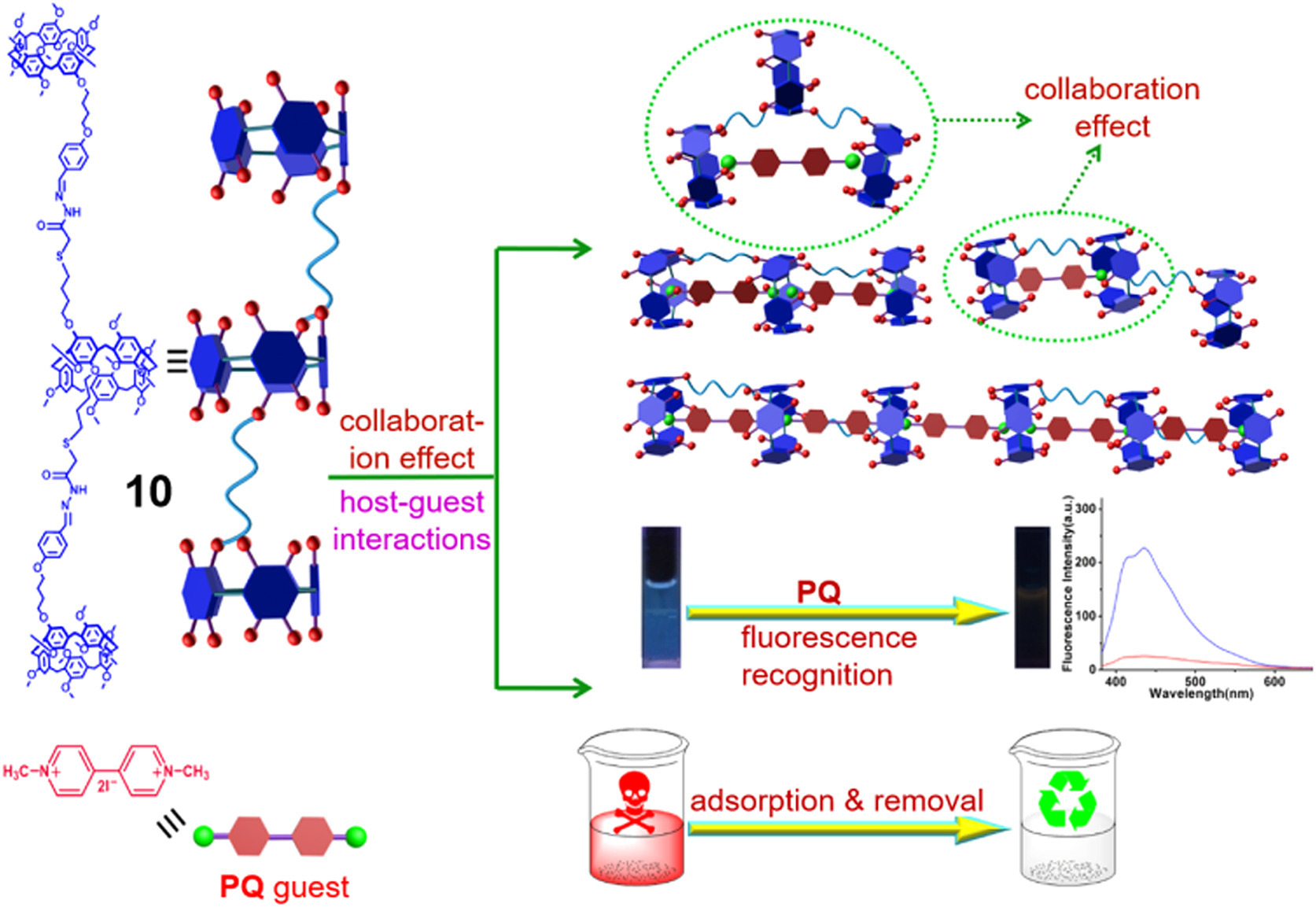 Pq fluorescent 