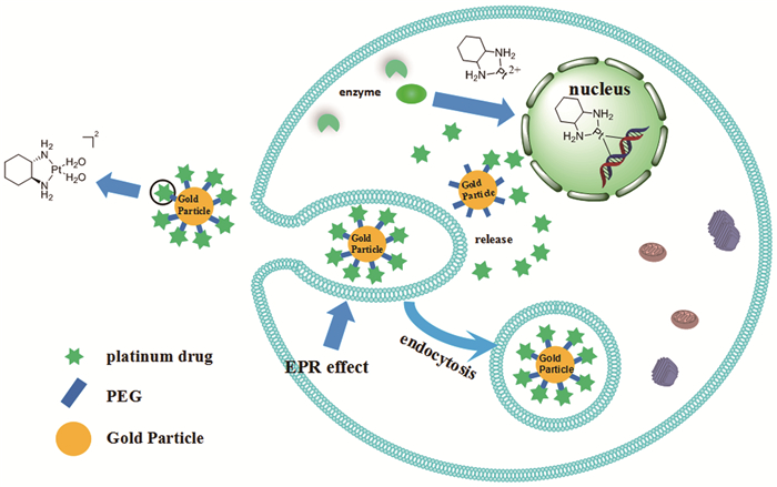铂类抗癌药物-纳米金载药体系的研究进展