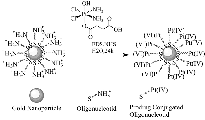 铂类抗癌药物-纳米金载药体系的研究进展