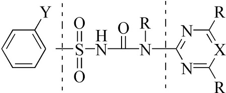 图式1 磺酰脲类除草剂结构通式 scheme1.