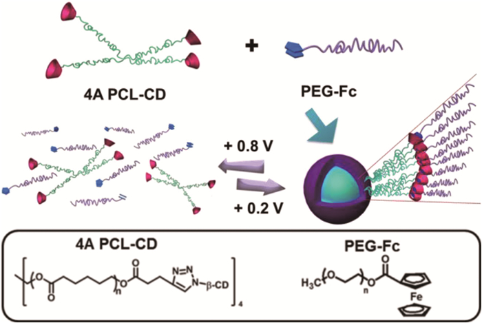 氧化还原响应的4a pcl-cd/peg-fc胶束的自组装和解组装