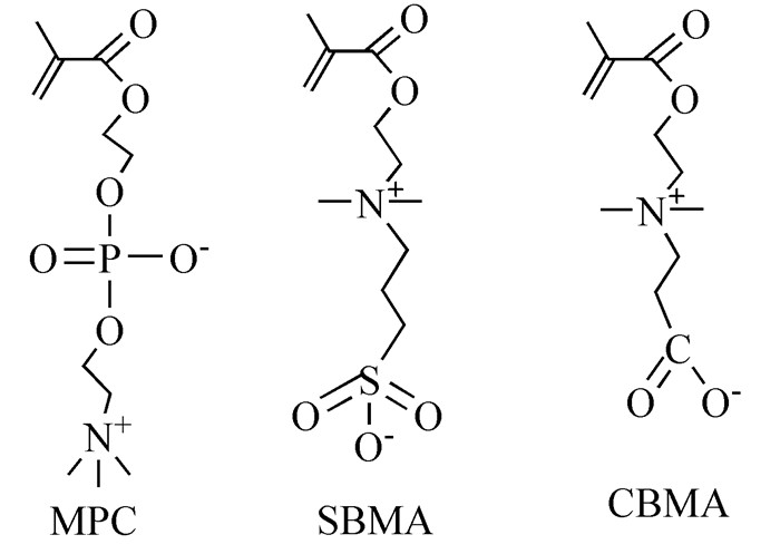 两性离子化合物mpc,sbma,cbma的结构式