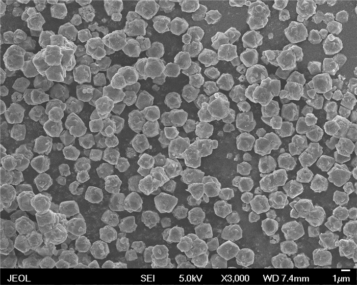 11 na-x分子筛的sem照片