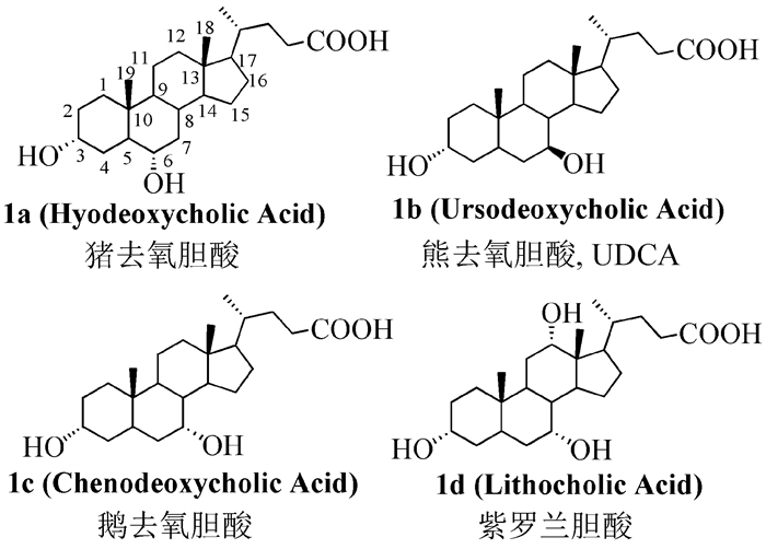 熊去氧胆酸的合成