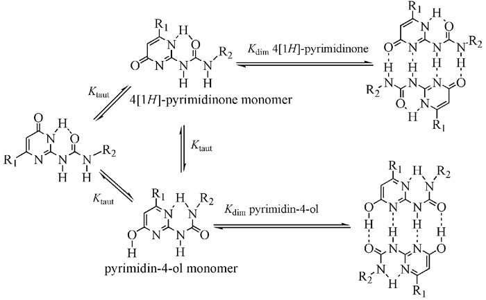 图式 2 脲基嘧啶酮的互变异构结构示意图
