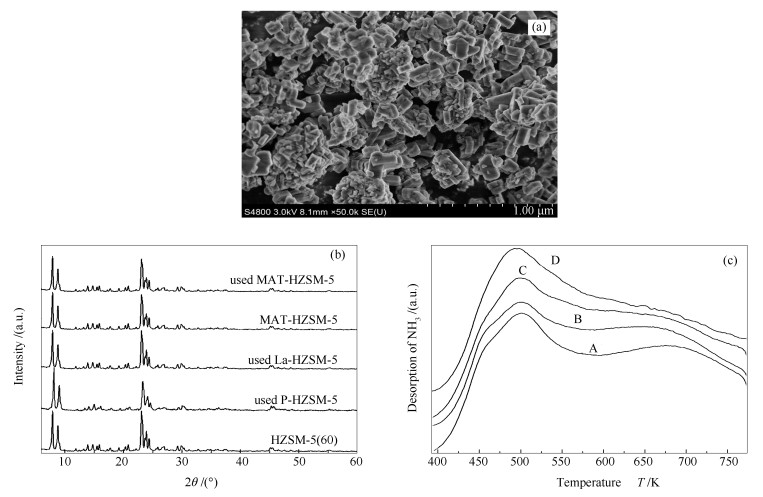 hzsm-5分子筛的sem照片(a),催化剂样品xrd谱图(b)和nh