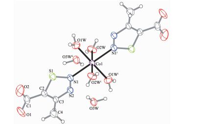 图 1为配合物的配位环境图,其晶体结构单元由1个4-甲基-1,2,3-噻二唑