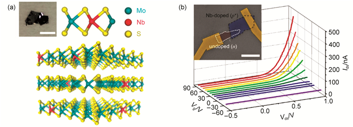 二硫化钼二维原子晶体化学掺杂研究进展