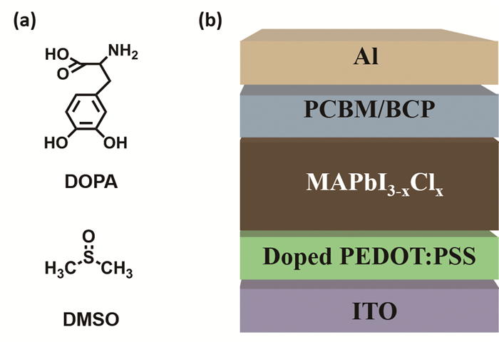 图 1(a dopa和dmso的结构式(b)钙钛矿太阳能电池的结构