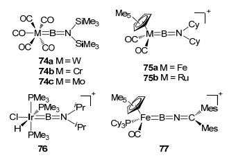 Boron Based Lewis Acid Transition Metal Complexes As Potential Bifunctional Catalysts