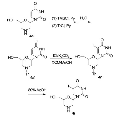 吗啉核苷类似物及其磺胺衍生物的合成及初步抗牛病毒性腹泻病毒(bvdv)