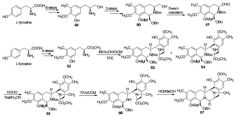 Synthesis of the Tetrahydroisoquinoline Alkaloid (±)-Renieramycin