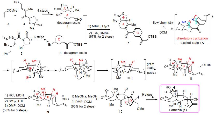 Total Synthesis of Farnesin through Excited-State Nazarov Cyclization